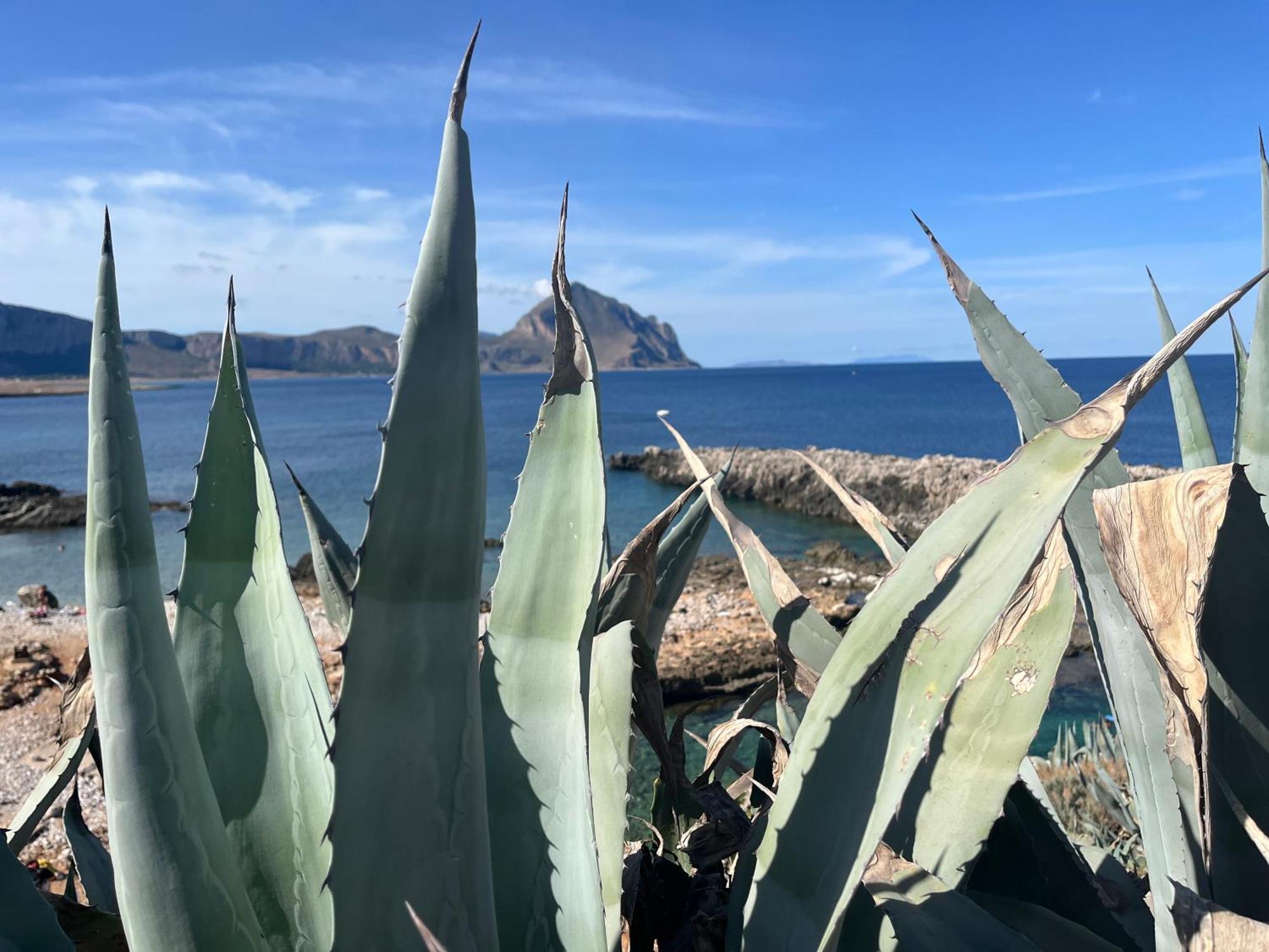 Home La Chiaretta Buseto Palizzolo Dış mekan fotoğraf
